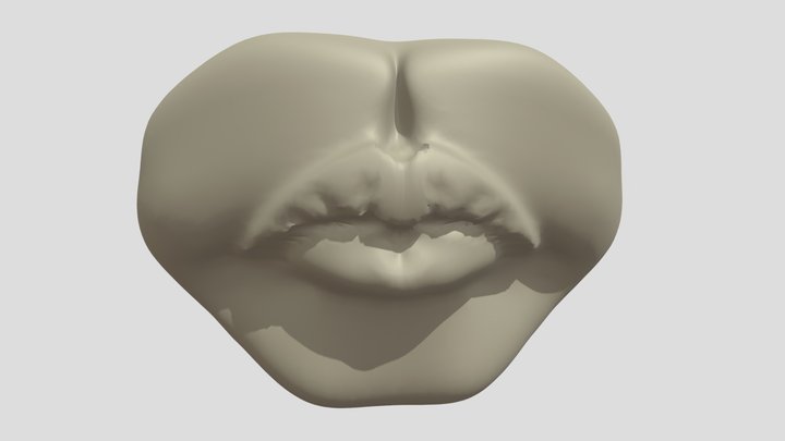 MOUTH (DETAIL OF A 3D FACE) 3D Model