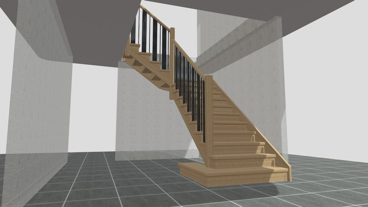 Vikas 3D Model