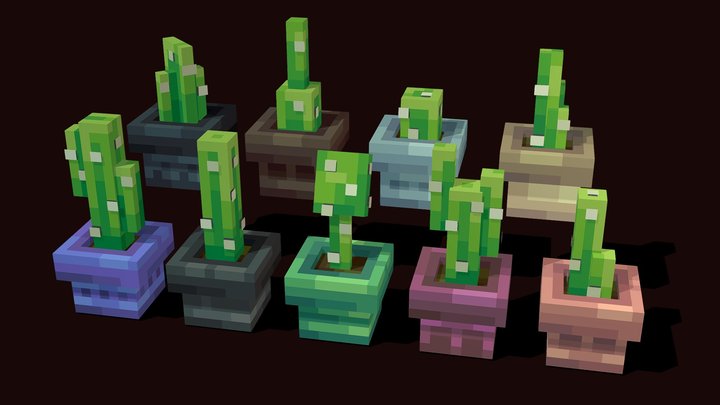 Cacti 3D Model