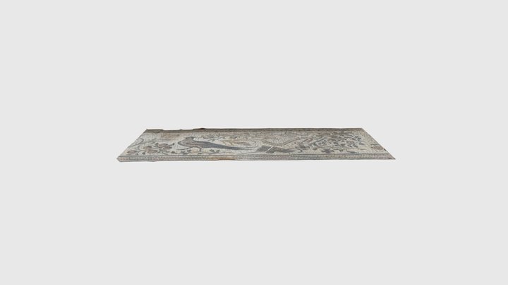 Bird and Floral Mosaic – Roman Villas of Cartha… 3D Model