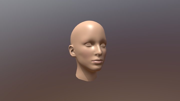 First Female Head Model 3D Model