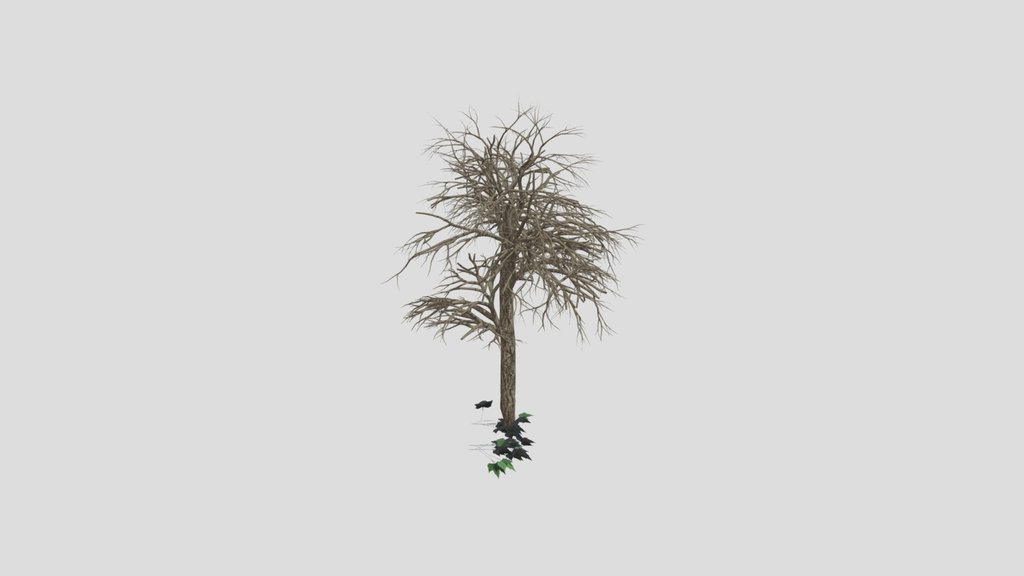 Ahorn Tree Midsize