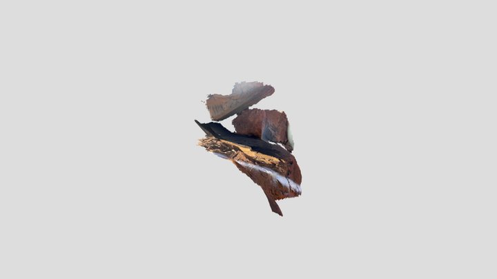 Untitled Scan 3D Model