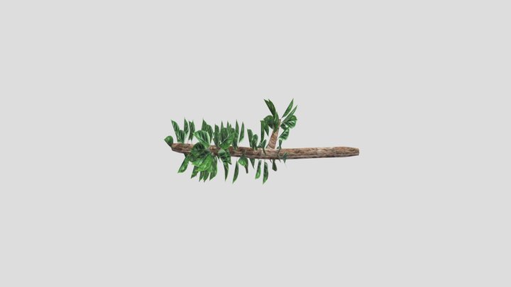 Tree Branch with Leaves 3D Model