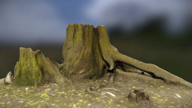 Stump_4 3D Model