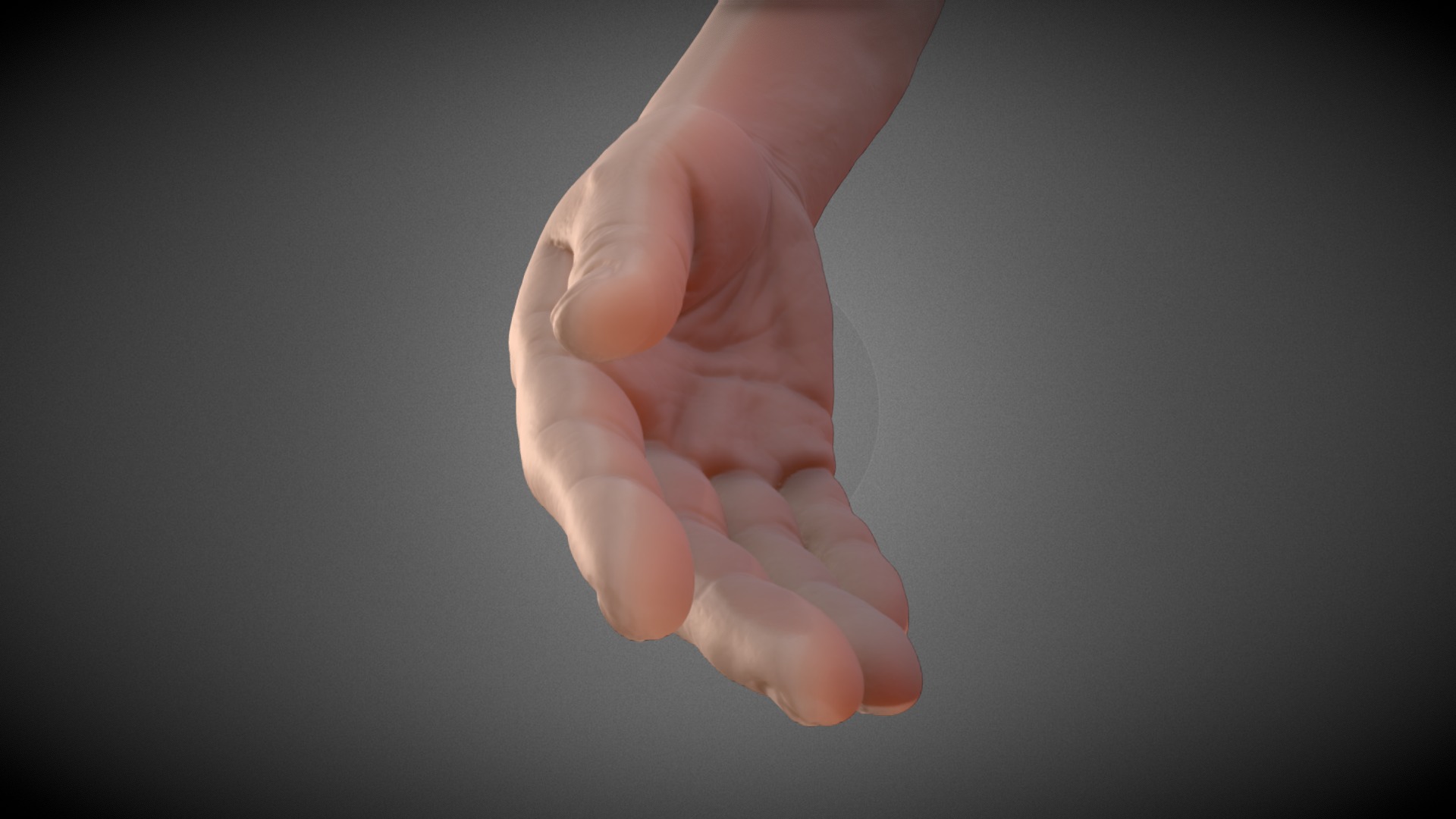 3D model hand (3d scan) - This is a 3D model of the hand (3d scan). The 3D model is about a close-up of a hand.
