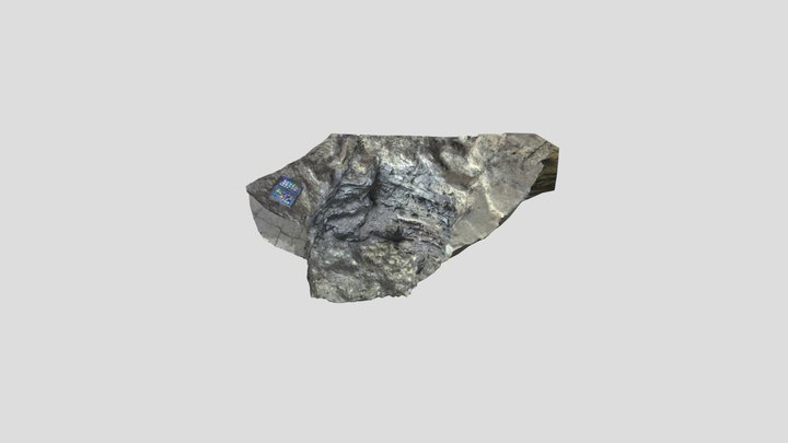 Salvataje Despeje Interno 3D Model