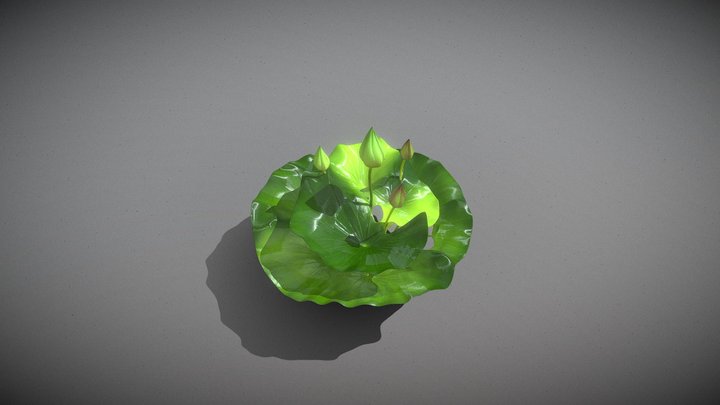 Ancient Lotus Bud Cluster_Mt – Kostenloses 3D-Modell STL