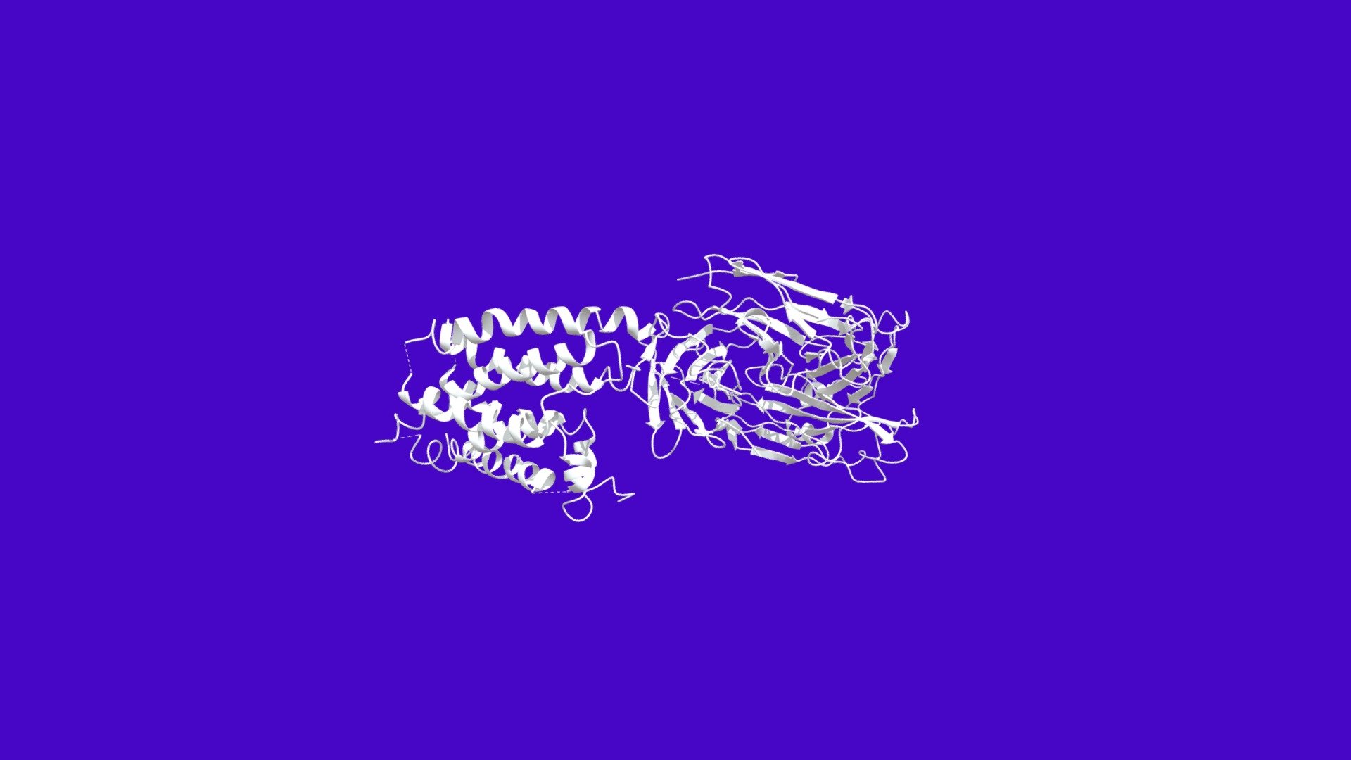 Beta2 Adrenoceptor