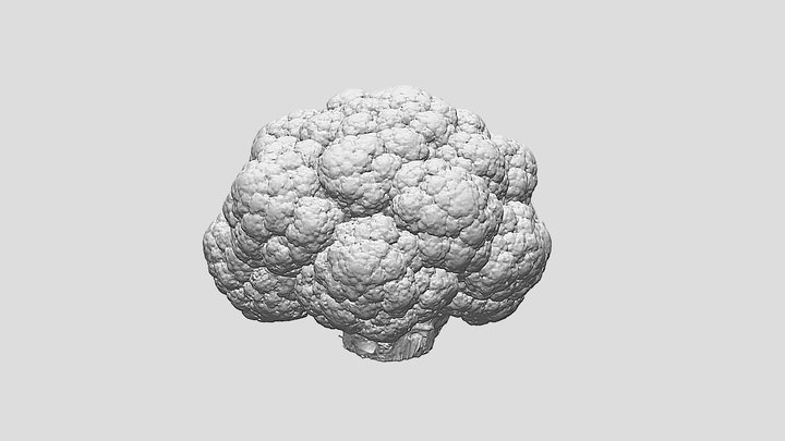 Cauliflower - Ultra-Realistic 3D Print Model 3D Model