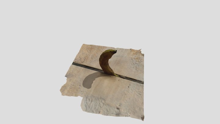 Platano 3D Model