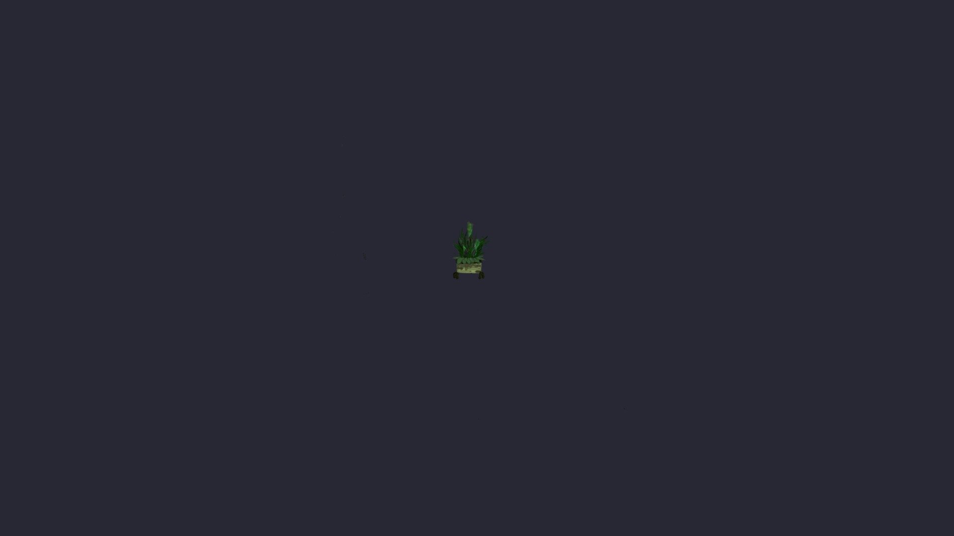 plant