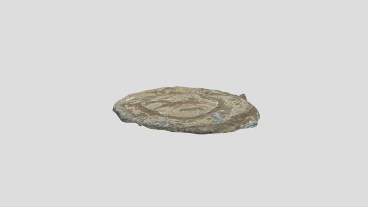 Wmid-cff1e4 - Late Medieval cloth seal 3D Model