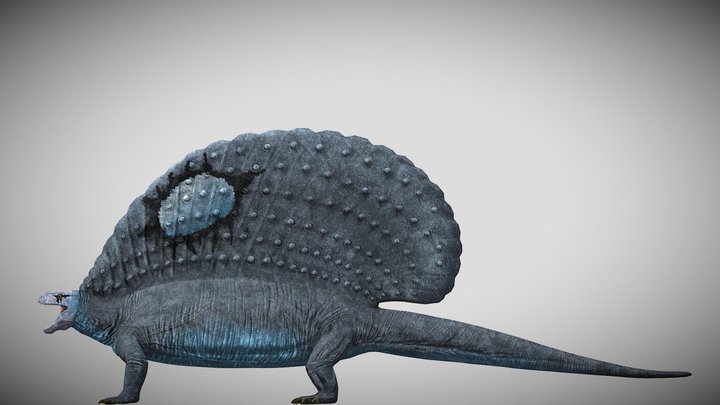 Chaos Theory Edaphosaurus – Modelo 3D gratuito STL