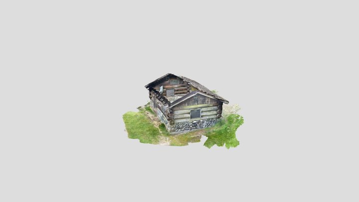 Untitled Scan 3D Model