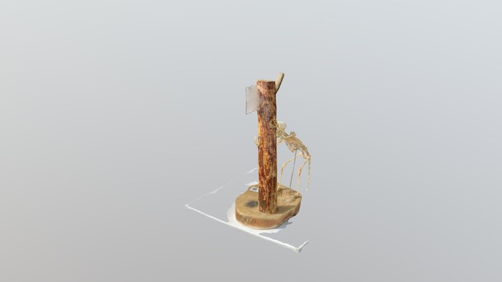 Esqueleto mono cariblanco 3D Model