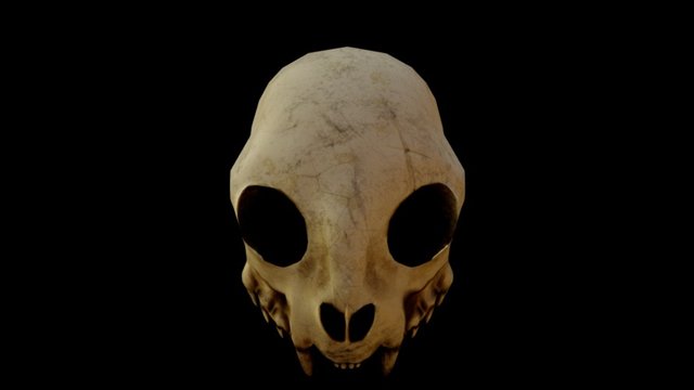 Catskull Mask 3D Model