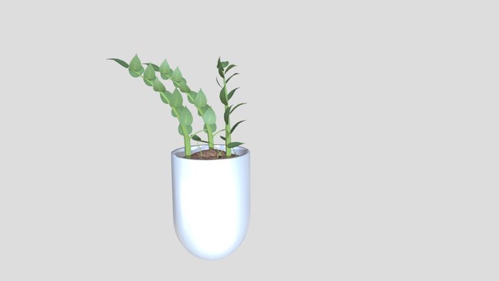 plants 3D Model