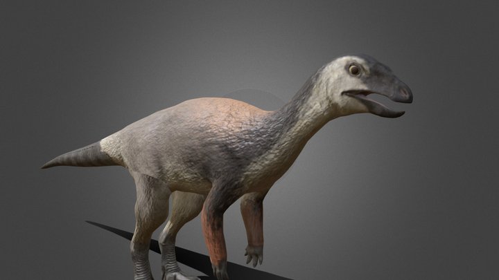 Orodromeus – Free 3D Model STL