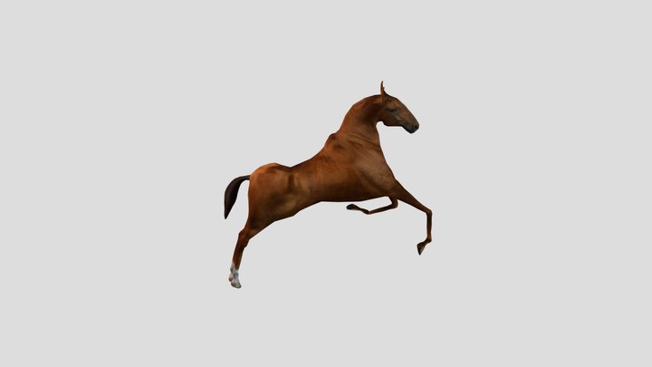 CABALLO_COLA 3D Model