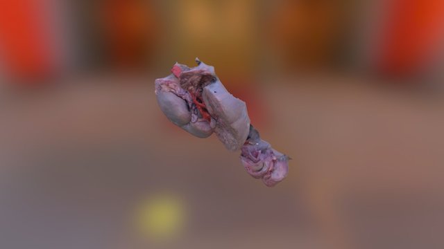 VII-7 3D Model
