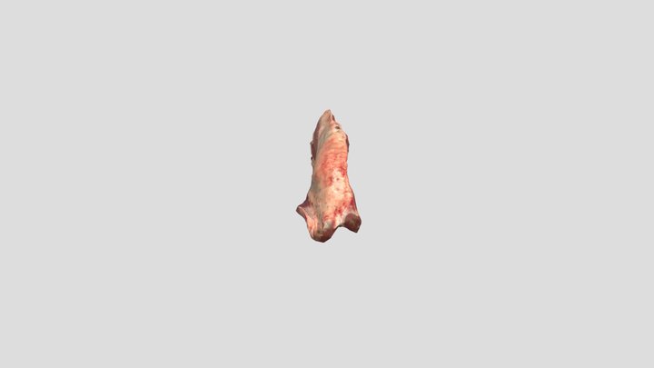 2320 Brisket LR 3D Model