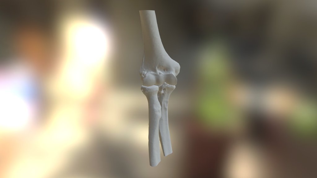 Elbow - sku272 - 3D model by orto3d [b0ea99f] - Sketchfab