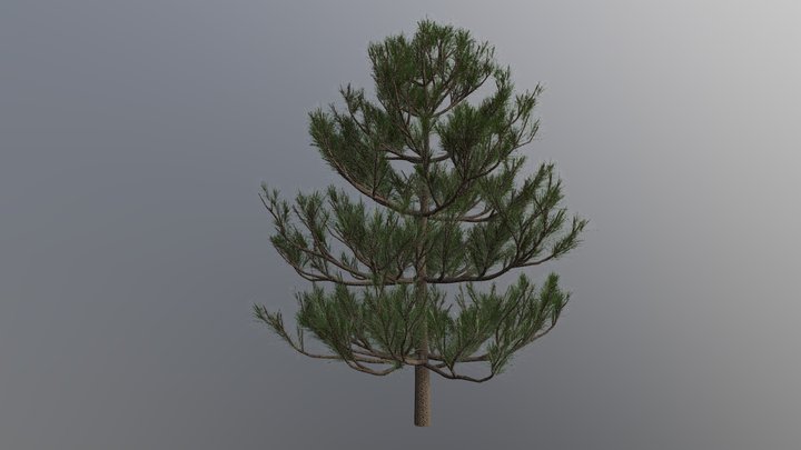 Realistic Pine Tree Low Poly (kind of) 3D Model