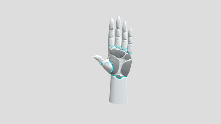 3D_Hand_Low_Poly_Nackaerts_Florre 3D Model