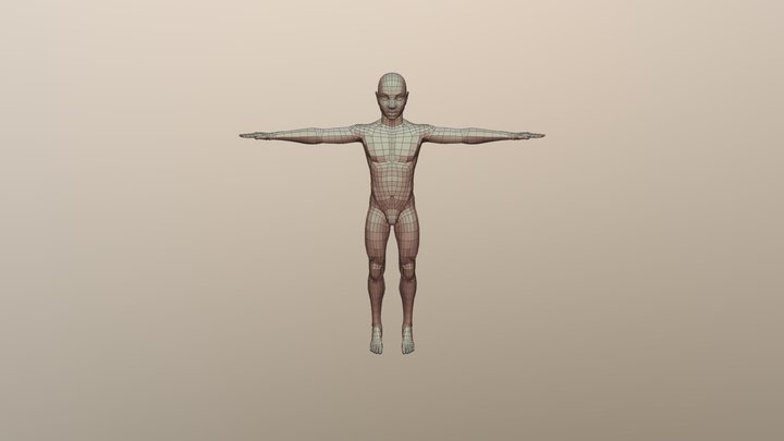 Body2 Retopo2 3D Model