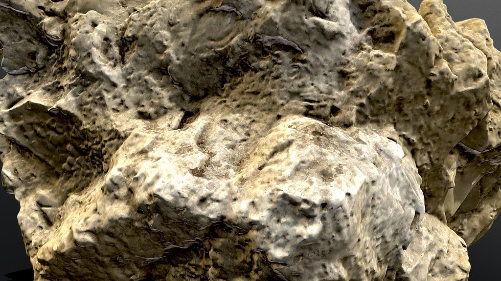 Fossil limestone fragment