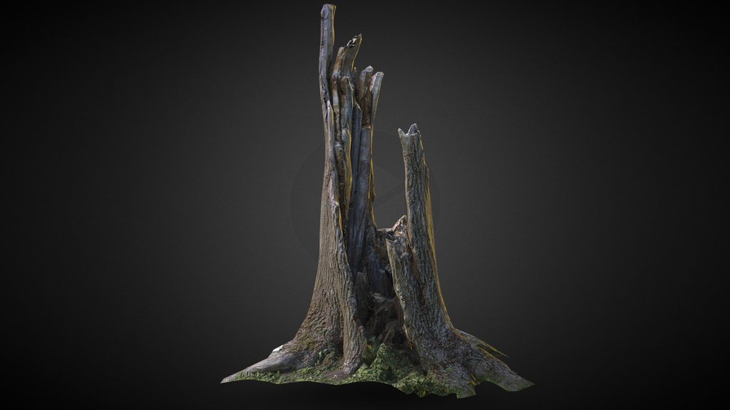 Realistic Cracked Tree Game-Ready prop