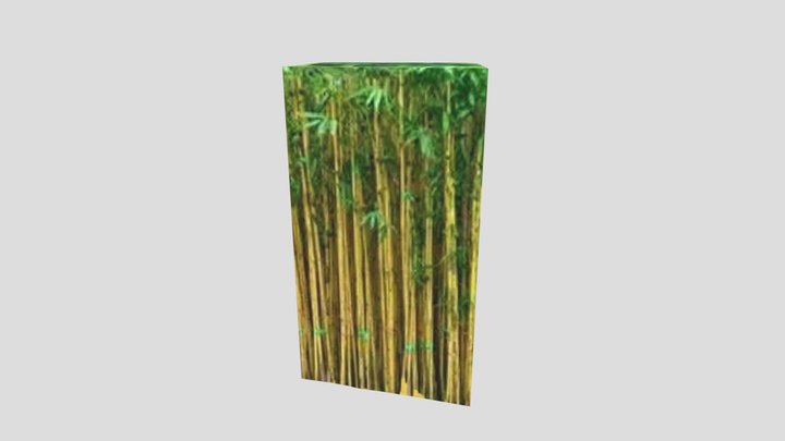 Bambu 3D Model