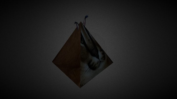Lil Floppa (Cube) - Download Free 3D model by 🇧🇷 SamelCookies 🇧🇷  (@fog_) [578fb85]