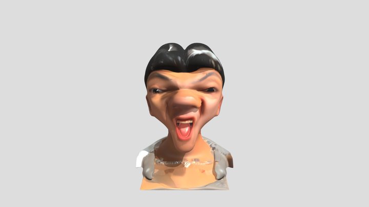 distorted human face 3D Model