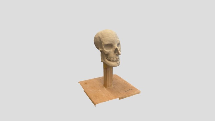 Skull Sculpture 3D Model