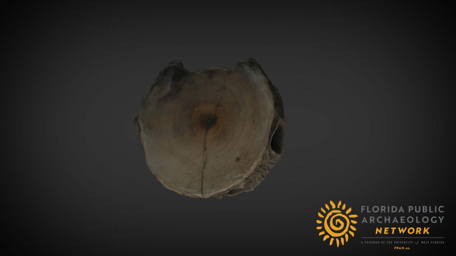 Fish Vertebrae, Burned