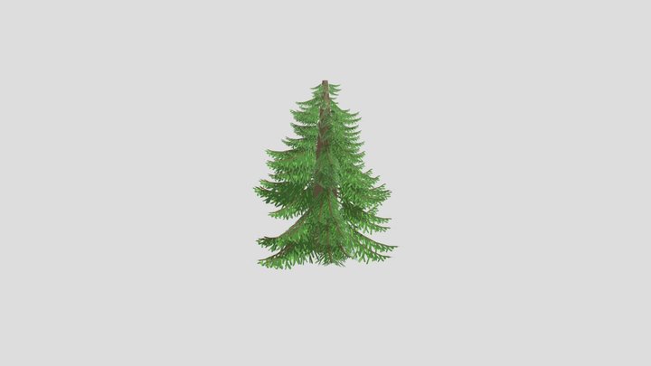 baum 3D Model