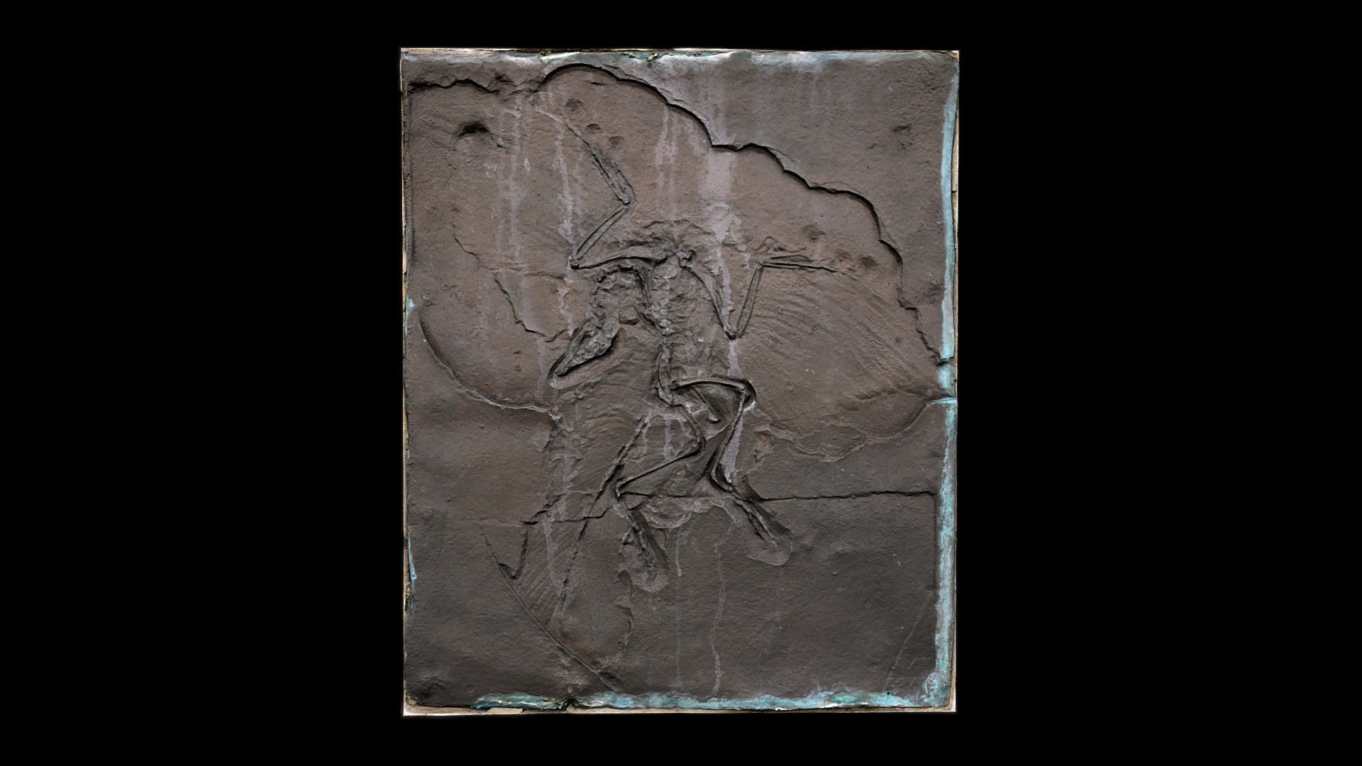 Archaeopteryx lithographica - bronze cast