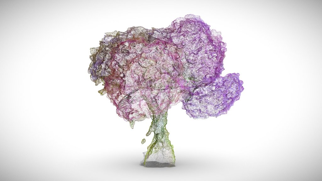 Hydrangea [30 Second video test]