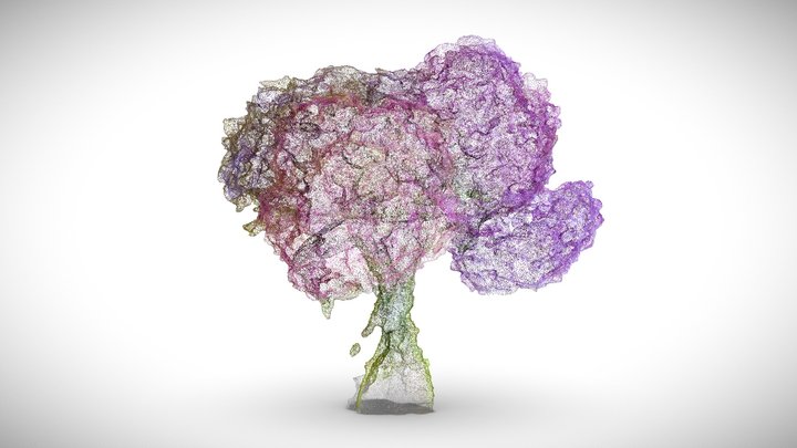 Hydrangea [30 Second video test] – Modelo 3D gratuito STL