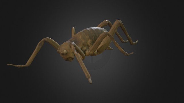 Giant Weta / Wētāpunga – Modèle 3D gratuit STL