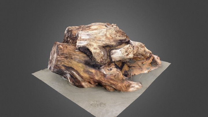 Driftwood 2 3D Model