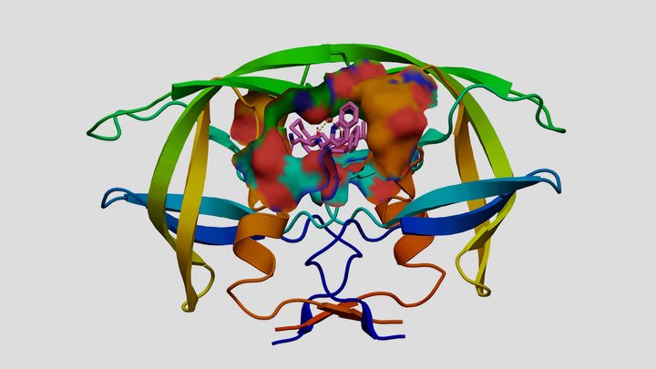 HIV-1 Protease and Saquinavir 3D Model