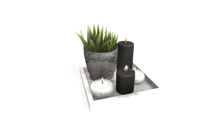nen va hoa 3D Model