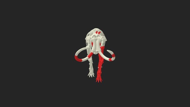 Mammut im Mammut Museum Niederweningen 3D Model