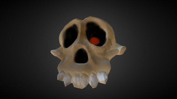 Skull 3D Model