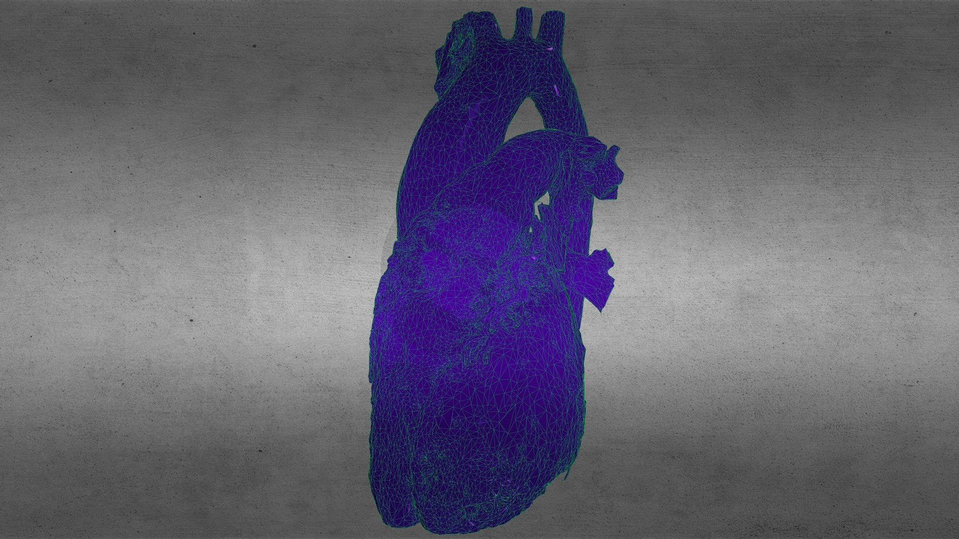 Heart (3DSlicer Soft Tissue Export)