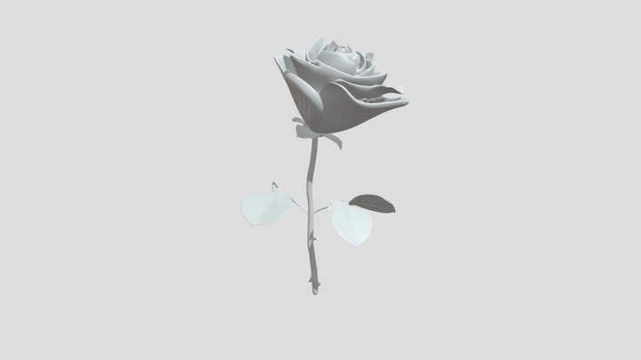 A single pink rose with stem