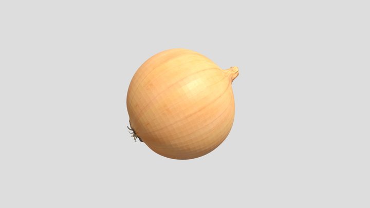 Cebulka 3D Model